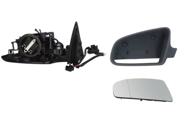 Außenspiegel links BLIC 5402-04-1125798P