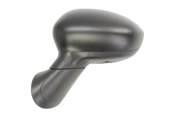 Außenspiegel rechts BLIC 5402-04-1131313