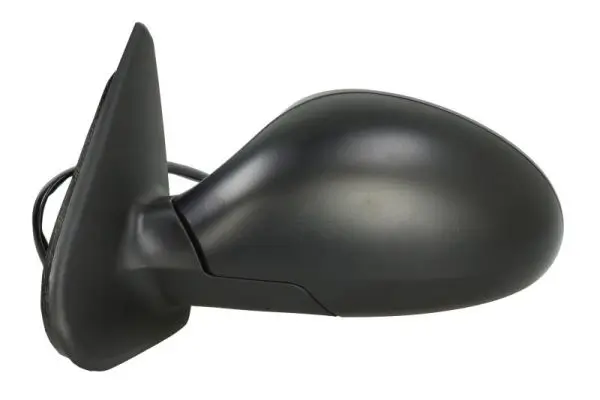 Außenspiegel rechts BLIC 5402-04-1131552