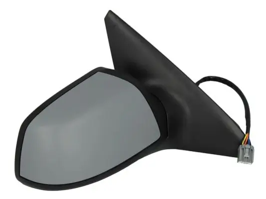 Außenspiegel links BLIC 5402-04-1139338