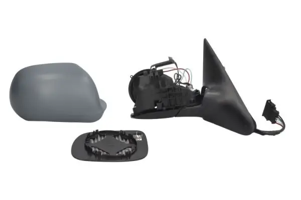 Außenspiegel links BLIC 5402-04-1139382P