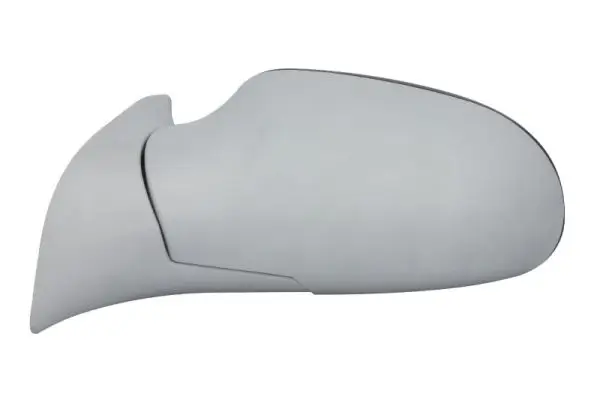 Außenspiegel links BLIC 5402-04-1139595