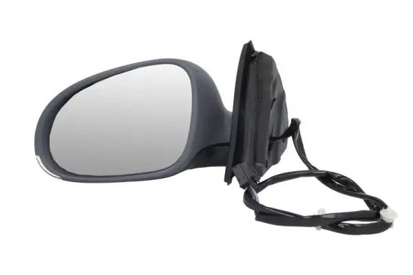 Außenspiegel links BLIC 5402-04-1131121P