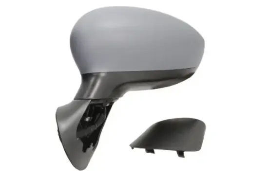 Außenspiegel links BLIC 5402-04-1139933 Bild Außenspiegel links BLIC 5402-04-1139933