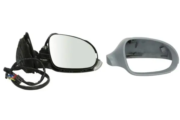 Außenspiegel rechts BLIC 5402-04-1152118