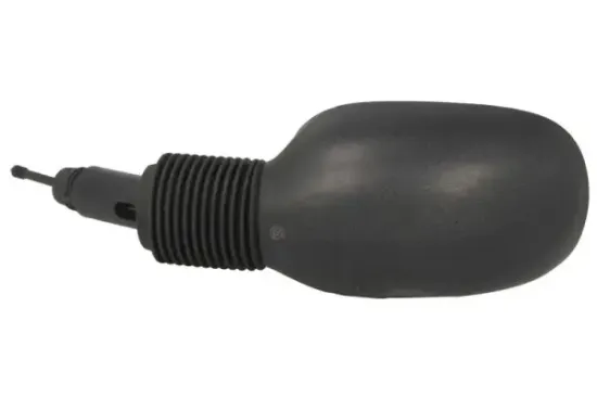 Außenspiegel links BLIC 5402-04-1191382 Bild Außenspiegel links BLIC 5402-04-1191382