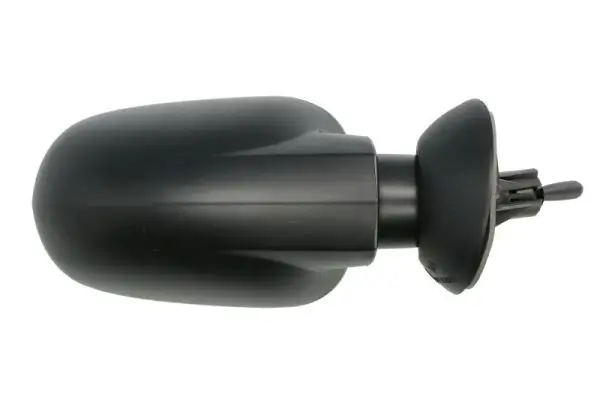 Außenspiegel rechts BLIC 5402-04-9219919