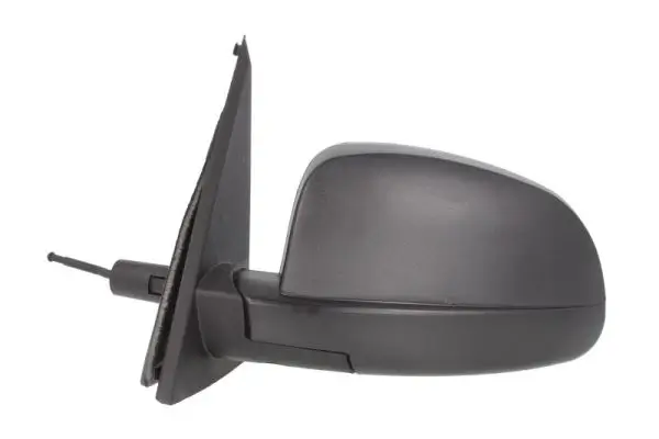 Außenspiegel links BLIC 5402-04-9239374