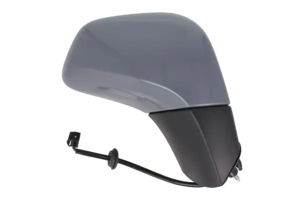 Außenspiegel links BLIC 5402-04-9239972