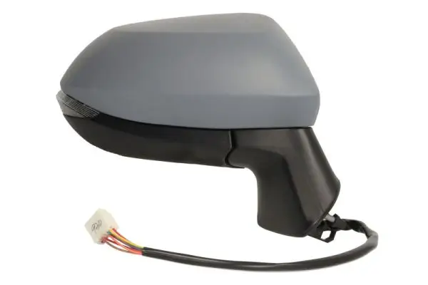 Außenspiegel links BLIC 5402-04-9291990P