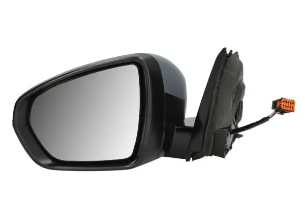 Außenspiegel links BLIC 5402-04-2304310P