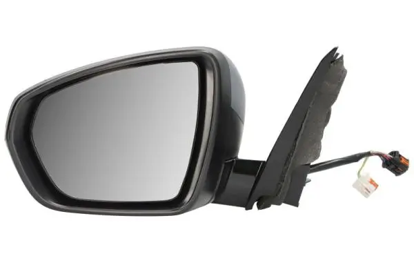 Außenspiegel links BLIC 5402-04-2304312P