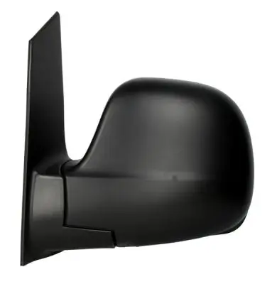 Außenspiegel links BLIC 5402-04-9231919 Bild Außenspiegel links BLIC 5402-04-9231919