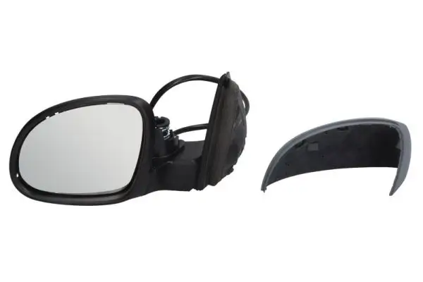 Außenspiegel links BLIC 5402-04-9939130