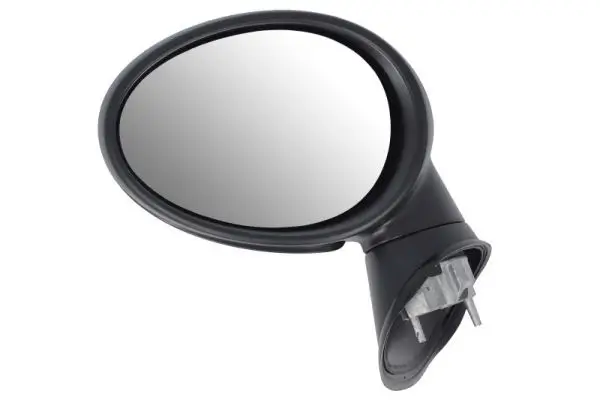 Außenspiegel links BLIC 5402-05-0884310P