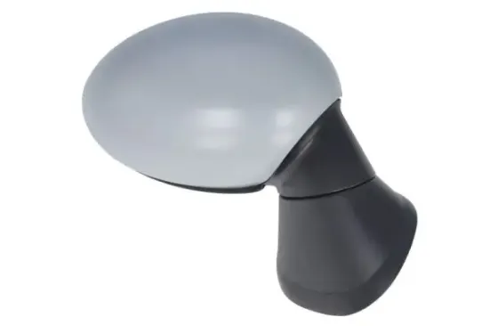 Außenspiegel rechts BLIC 5402-05-0884313P Bild Außenspiegel rechts BLIC 5402-05-0884313P