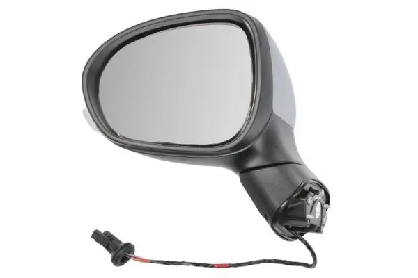Außenspiegel links BLIC 5402-07-0302310P