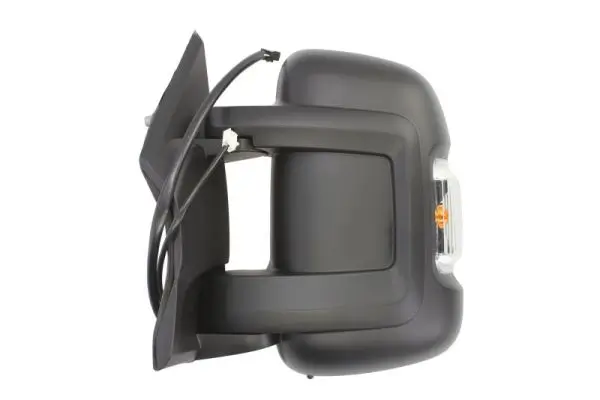 Außenspiegel links BLIC 5402-07-038366P