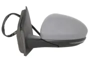 Außenspiegel links BLIC 5402-15-2001847P