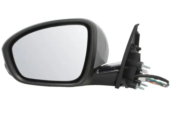 Außenspiegel links BLIC 5402-09-1243312P