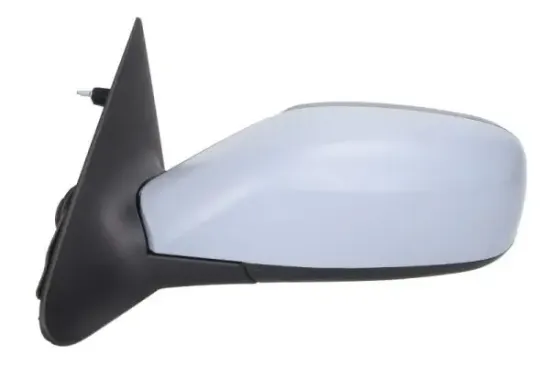 Außenspiegel links BLIC 5402-09-2002167P Bild Außenspiegel links BLIC 5402-09-2002167P