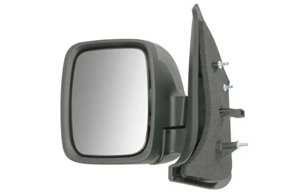 Außenspiegel links BLIC 5402-09-2476316P