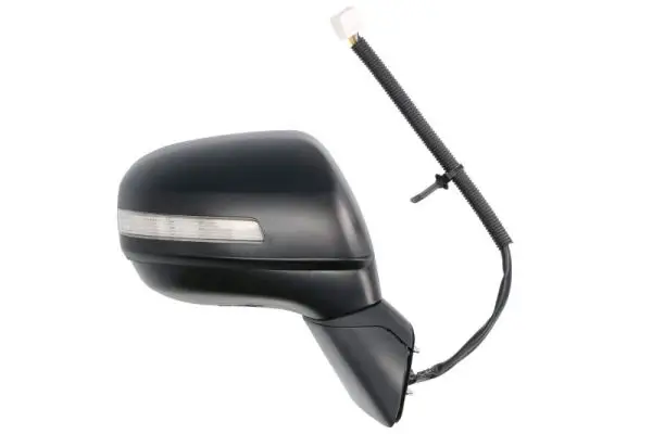 Außenspiegel rechts BLIC 5402-19-2002540P