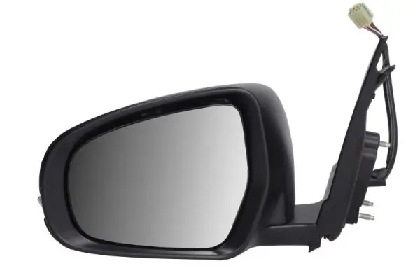 Außenspiegel links BLIC 5402-18-1384320P