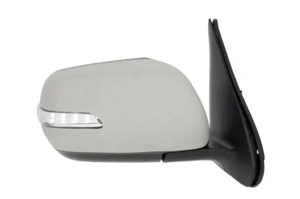 Außenspiegel rechts BLIC 5402-18-2002418P