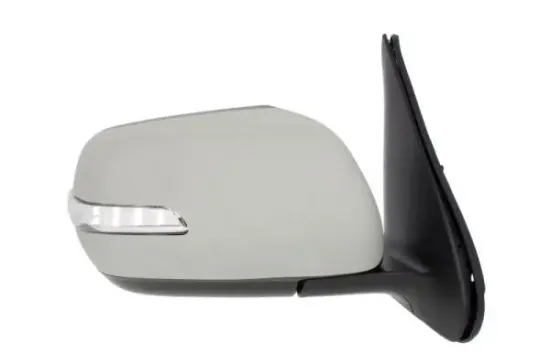 Außenspiegel rechts BLIC 5402-18-2002418P Bild Außenspiegel rechts BLIC 5402-18-2002418P