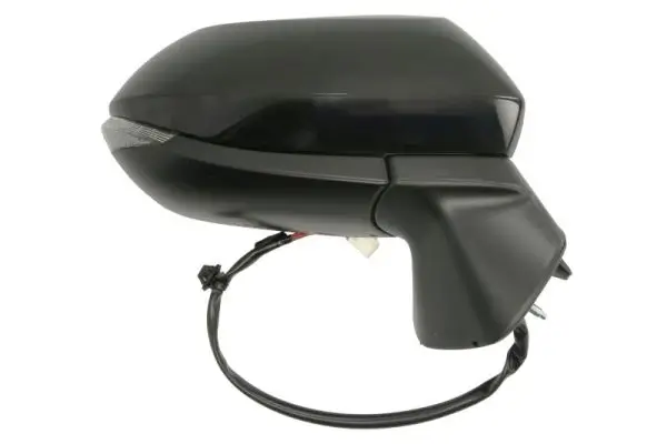 Außenspiegel links BLIC 5402-25-1875317P