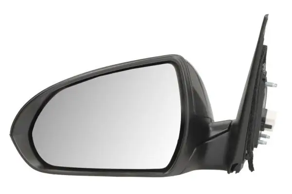 Außenspiegel links BLIC 5402-20-1729310P