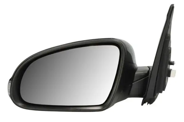 Außenspiegel links BLIC 5402-20-2238310P