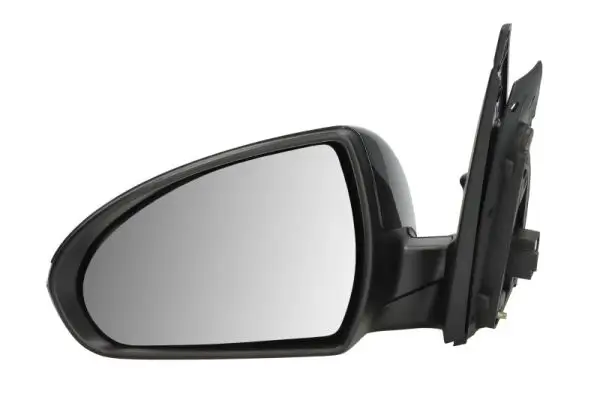 Außenspiegel links BLIC 5402-20-2239312P