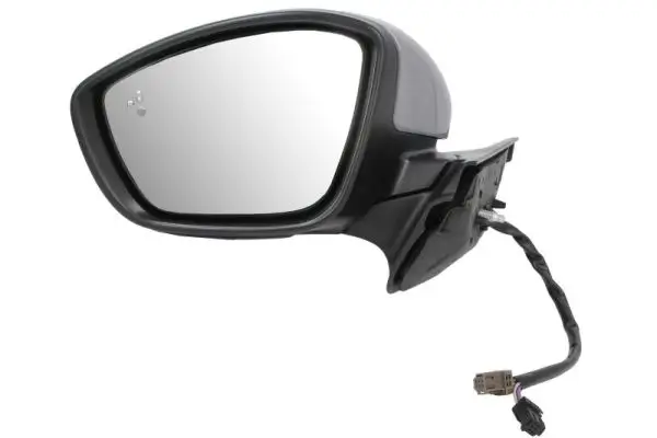 Außenspiegel links BLIC 5402-21-0199322P