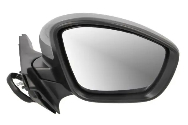 Außenspiegel rechts BLIC 5402-21-0199325P