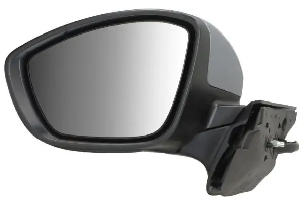 Außenspiegel links BLIC 5402-21-0199326P