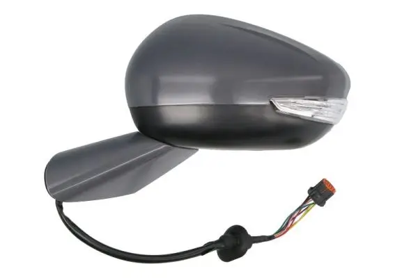 Außenspiegel links BLIC 5402-53-2001571P