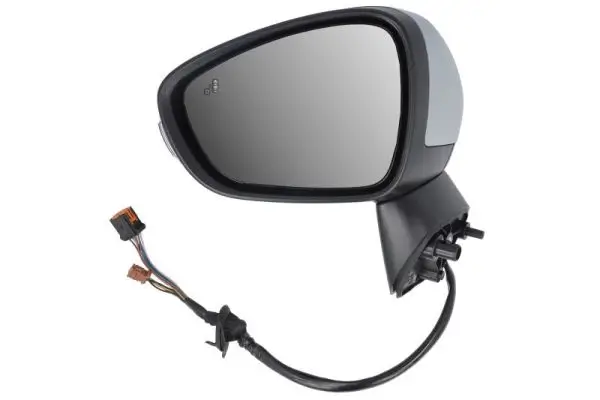 Außenspiegel links BLIC 5402-21-1882320P
