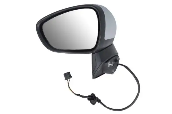 Außenspiegel links BLIC 5402-21-2137312P