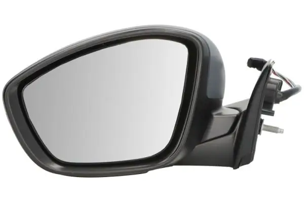 Außenspiegel links BLIC 5402-21-2142312P