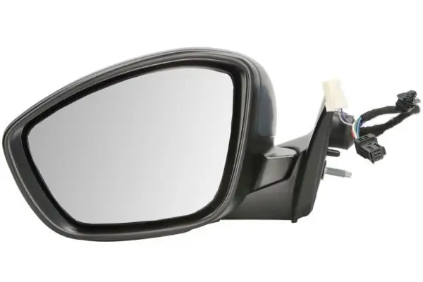 Außenspiegel links BLIC 5402-21-2142314P