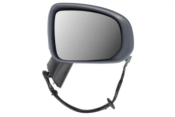 Außenspiegel rechts BLIC 5402-24-2025313P