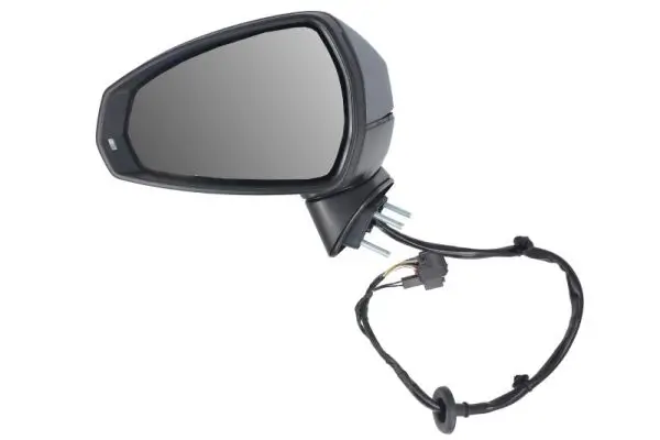 Außenspiegel links BLIC 5402-25-0047310P