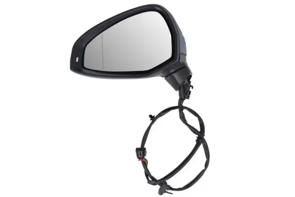 Außenspiegel links BLIC 5402-25-0054310P