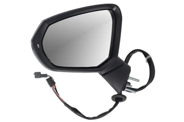 Außenspiegel links BLIC 5402-25-0067314P