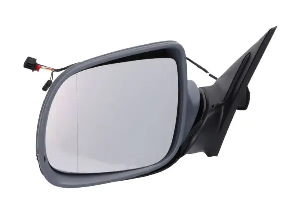 Außenspiegel links BLIC 5402-25-041361P