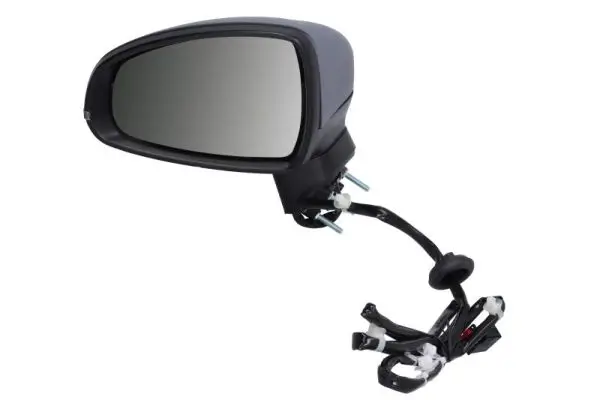 Außenspiegel links BLIC 5402-25-1629312P