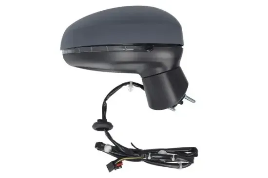 Außenspiegel rechts BLIC 5402-25-1629313P Bild Außenspiegel rechts BLIC 5402-25-1629313P