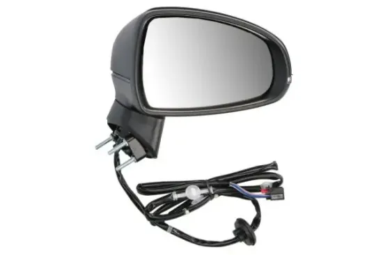 Außenspiegel rechts BLIC 5402-25-1629315P Bild Außenspiegel rechts BLIC 5402-25-1629315P